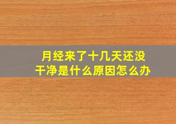 月经来了十几天还没干净是什么原因怎么办