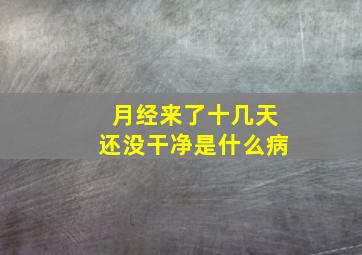 月经来了十几天还没干净是什么病