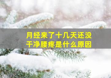 月经来了十几天还没干净腰疼是什么原因