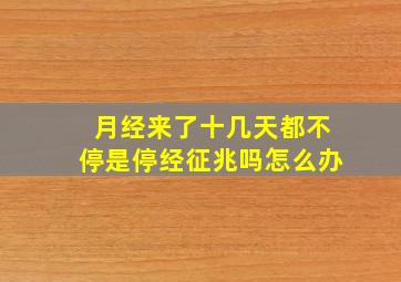 月经来了十几天都不停是停经征兆吗怎么办