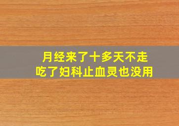 月经来了十多天不走吃了妇科止血灵也没用