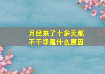 月经来了十多天都不干净是什么原因