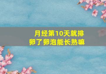 月经第10天就排卵了卵泡能长熟嘛