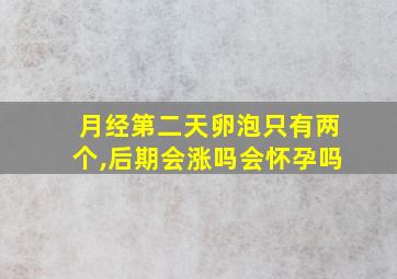 月经第二天卵泡只有两个,后期会涨吗会怀孕吗