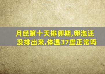 月经第十天排卵期,卵泡还没排出来,体温37度正常吗