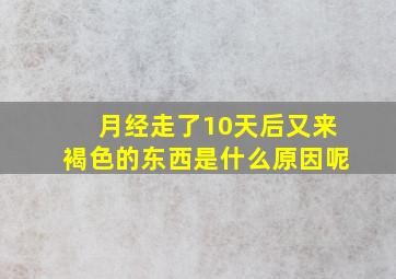 月经走了10天后又来褐色的东西是什么原因呢