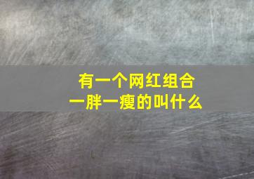 有一个网红组合一胖一瘦的叫什么