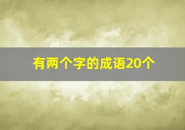 有两个字的成语20个