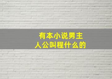 有本小说男主人公叫程什么的