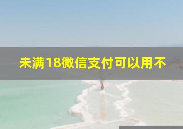 未满18微信支付可以用不