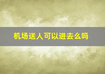 机场送人可以进去么吗