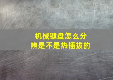 机械键盘怎么分辨是不是热插拔的