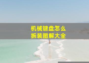 机械键盘怎么拆装图解大全