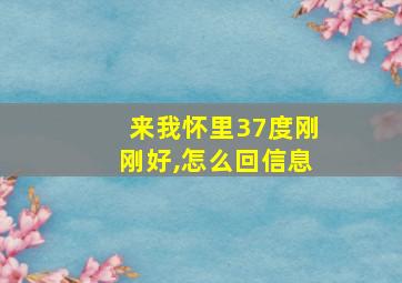 来我怀里37度刚刚好,怎么回信息