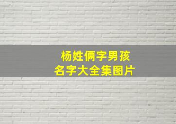 杨姓俩字男孩名字大全集图片