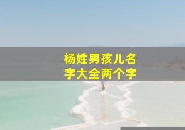 杨姓男孩儿名字大全两个字