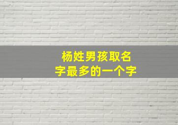 杨姓男孩取名字最多的一个字