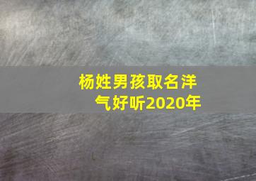 杨姓男孩取名洋气好听2020年