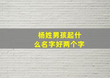 杨姓男孩起什么名字好两个字