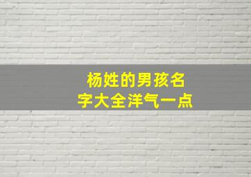 杨姓的男孩名字大全洋气一点