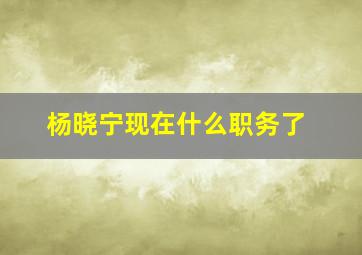 杨晓宁现在什么职务了