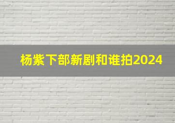 杨紫下部新剧和谁拍2024