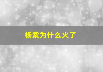 杨紫为什么火了