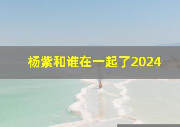 杨紫和谁在一起了2024