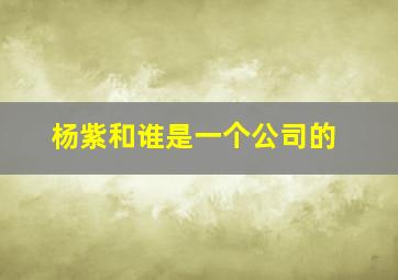 杨紫和谁是一个公司的