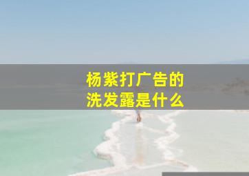 杨紫打广告的洗发露是什么