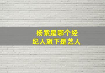 杨紫是哪个经纪人旗下是艺人