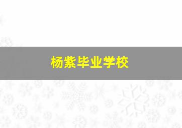 杨紫毕业学校