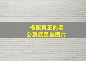 杨紫真正的老公到底是谁图片