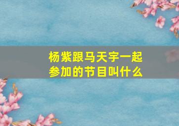 杨紫跟马天宇一起参加的节目叫什么