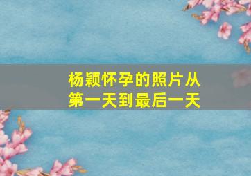 杨颖怀孕的照片从第一天到最后一天