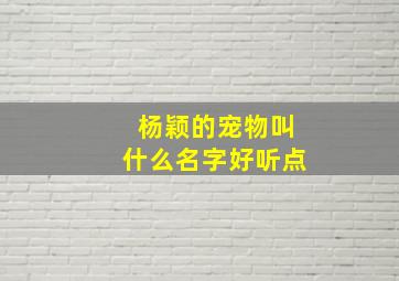 杨颖的宠物叫什么名字好听点