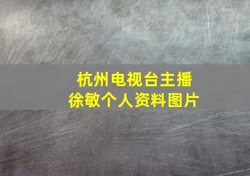 杭州电视台主播徐敏个人资料图片