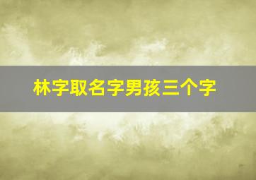 林字取名字男孩三个字