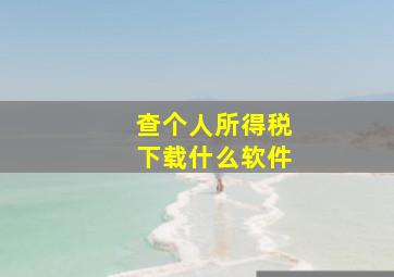 查个人所得税下载什么软件