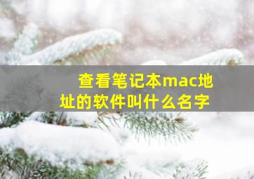 查看笔记本mac地址的软件叫什么名字