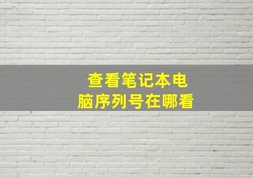 查看笔记本电脑序列号在哪看