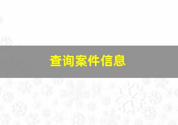 查询案件信息