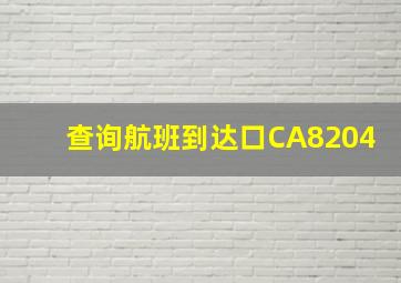 查询航班到达口CA8204