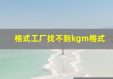 格式工厂找不到kgm格式