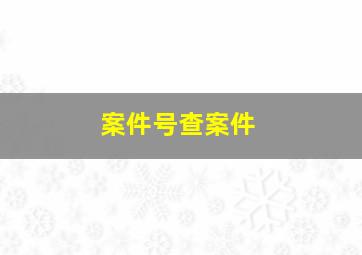 案件号查案件