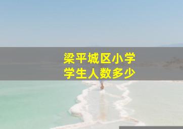 梁平城区小学学生人数多少