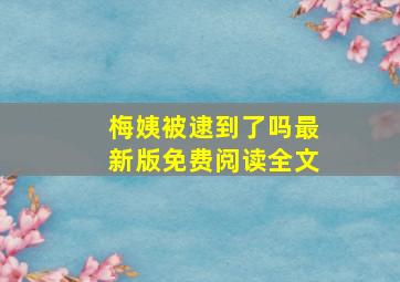 梅姨被逮到了吗最新版免费阅读全文