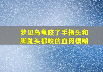 梦见乌龟咬了手指头和脚趾头都咬的血肉模糊