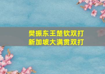 樊振东王楚钦双打新加坡大满贯双打