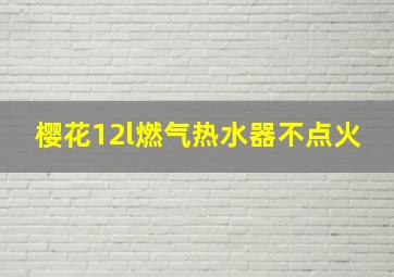 樱花12l燃气热水器不点火